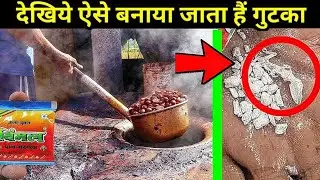 देखिये गुटखा कैसे बनते हैं? Gutkha Making Process ? গুটখা কিভাবে তৈরি হয় দেখুন?