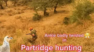 Partridge hunting in pakistan by waqaas khan 2024,2025 #partridgehunting #teeter #shikar #uplandhunt