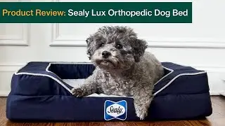 Sealy Lux Orthopedic Dog Bed Review (With Cooling Technology)
