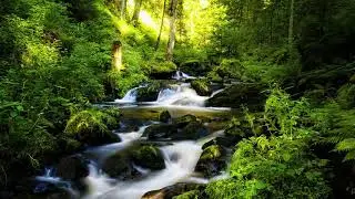 МУЗЫКА ДЛЯ ДУШИ RELAX THE BEST1!!!