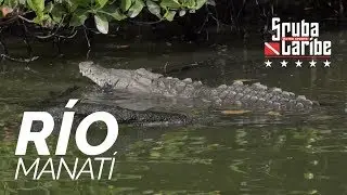 R&Iacute;O MANAT&Iacute; @ScubaCaribe, #Cancun
