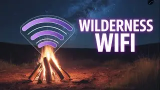 Какой вариант Starlink будет лучшим для удаленных районов в 2025 году?