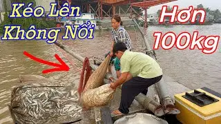 Bắt Cá Kiểu Mới Mà Chưa Có Nhiều Người Biết Đến Ở Miền Tây 