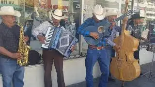 Rosita de olivo GRUPO LIBERTAD 2 DE CHIHUAHUA