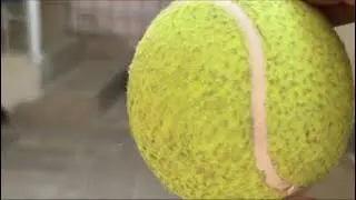 live kids fun pakistan win