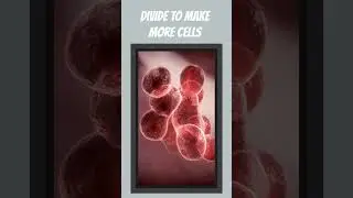 The mind-blowing world of cells #shorts