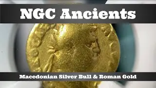 Открытая коробка NGC Ancients &mdash; македонский серебряный тетробол и римское золото