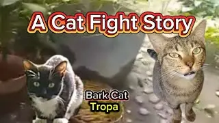 - The Alley Rumble: A Cat Fight Story