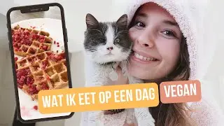 Wat ik eet op een dag | vegan
