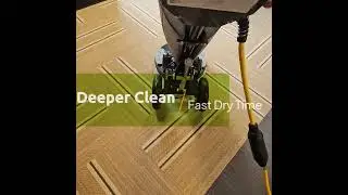Commercial Carpet Cleaning in Miami | Professional Office Carpet Cleaning