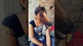 😆Funny Horse Fece Video🐴 #shorts #funnyshorts #viralshort #youtubeshorts #shortvideo