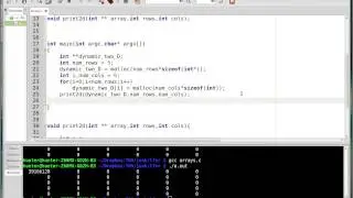 Dynamic Two Dimensional Arrays! C Tutorial 13
