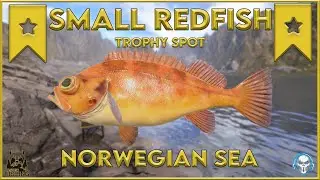 SMALL REDFISH TROPHY SPOT! NORWEGIAN SEA - Russian Fishing 4 #rf4