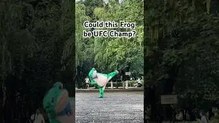 Would You Fight This Frog? #mma #shorts
