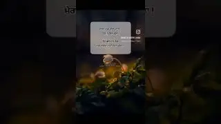 Writer : Gulshan Rababi / Short videos WhatsApp number 76819-31621