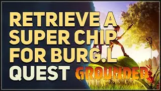 Retrieve a Super Chip for BURG.L Grounded