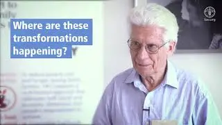 Driving progress in agricultural and rural transformations