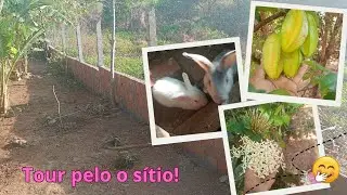 Atualizando como está o sítio! #registrodevida #nordeste 