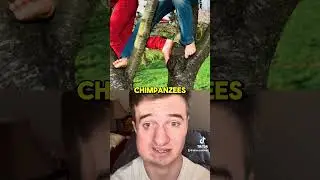 Насколько редким является ваше тело?