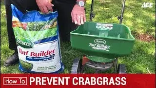 Как предотвратить появление сорняков &mdash; Ace Hardware
