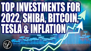 TOP INVESTMENTS FOR 2022, SHIBA, BITCOIN, TESLA & INFLATION