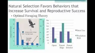 Natural Selection and Sexual Selection Drive the Evolution of Behavior Ecology Chapter 51 Final.mov
