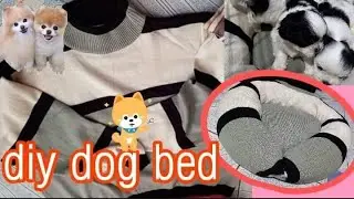 DIY DOG BED | galing sa lumang knitted sweater 🐶🐶#shihtzu #CHAROTTV #DIYdogbed