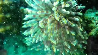 Best entertaitment video on youtube 2022#music#