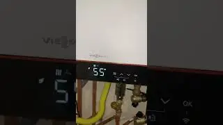 how to reset viessmann vitodens