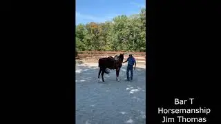 Bar T Horsemanship: First Steps With Horse