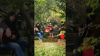 Lob&atilde;o Power Trio no Jardim - Uma Delicada Forma de Calor