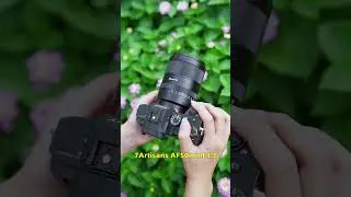 7Artisans AF 50mm F1.8 - a great lens with a natural depth of field. 🎯✨#7Artisans #autofocus