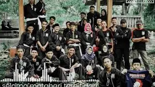 Story WA PSHT #pshtgresik #pshtmanyar #pshtsembayat