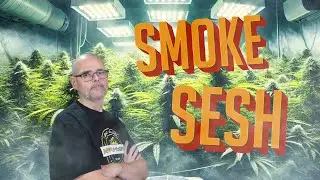 Chill Smoke Sesh: Let&rsquo;s Hang Out Live! #marshydro #ts1000 #fce3000 #vg80