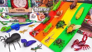 🦎toy asmr🦎 32 Mins ZURU Robo Alive Insects Compilation ASMR | Review Toys (No Talking)