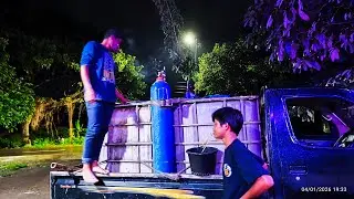 Penimbangan PATIN 150Kg untuk BATTLE-C SENIN malam di KP. ARJUNA