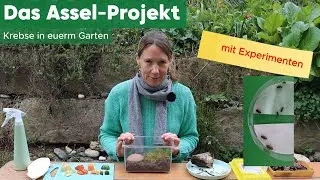 Forsche mit! Das Assel-Projekt