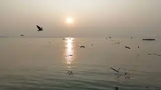 Drone Shot Getalsud Dam Evening View