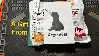 #343 Gift from Swynndla