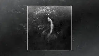 Autumn Creatures - Death In Silent Places