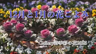 12月と1月の花ごよみ、シリーズ詩季彩の花の写真集、冬の花ごよみ