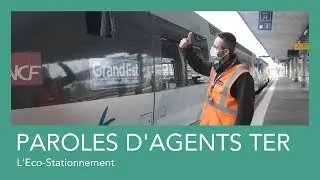 Paroles d&rsquo;agents TER : l&rsquo;&eacute;co stationnement ?