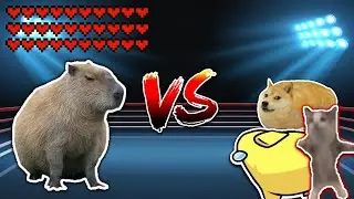 Capybara vs Shnappy cat team! Meme battle