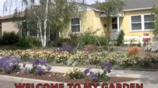 Welcome To My Garden / Life Lessons from Lee's Garden