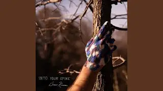 Into Your Spine