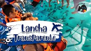 Lancha Transparente en Los Cabos - Tours Los Cabos