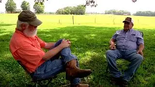 Switchgrass as Forage