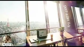 【Sound Collector BGM】高效工作背景音 | Deep Focus Music for Productivity