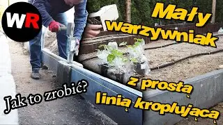 Moja koncepcja na mały warzywniak  oraz prosta linia kroplująca warzywa i sadzonki - #vlog69