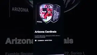 NFL ALLDAY